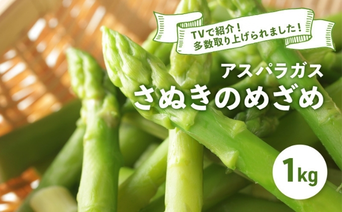 【香川県丸亀市】アスパラガス さぬきのめざめ 春芽 1kg アスパラ グリーンアスパラ 野菜 旬 旬の野菜 季節の野菜 産地直送 香川 香川県 丸亀 丸亀市 冷蔵 冷蔵配送 先行 予約 先行予約 2026 2026年 3月以降発送開始