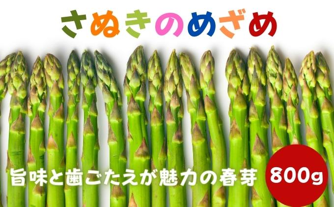 y쌧ۋTszAXpKX o ʂ̂߂ t 800g Ԍ AXp O[AXp  { {̖ G߂̖ Yn  쌧 ۋT ۋTs ① ①z s \ 2026 2026N 2{Jn
