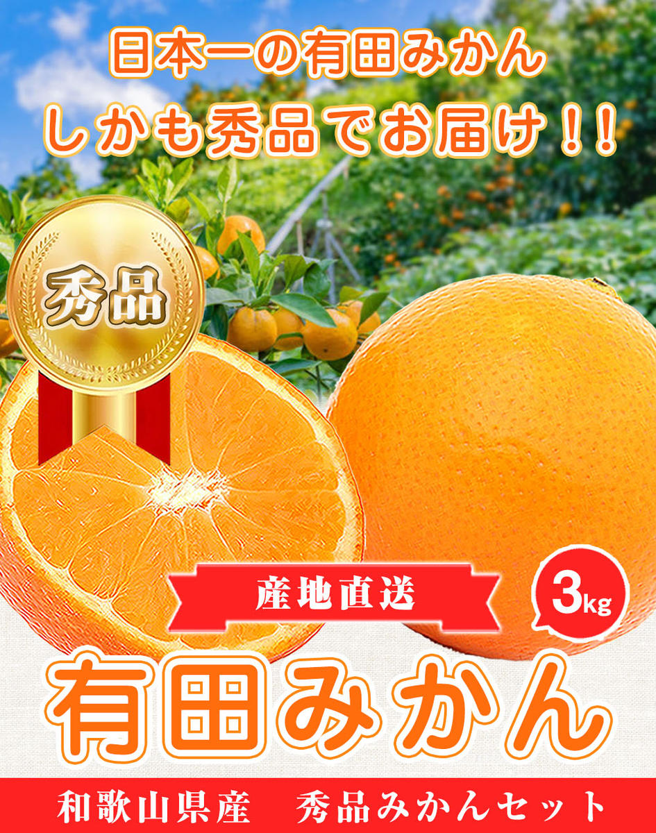 16 わけあり 和歌山 不知火 デコポン 6kg サイズ混合 有田みかん 柑橘
