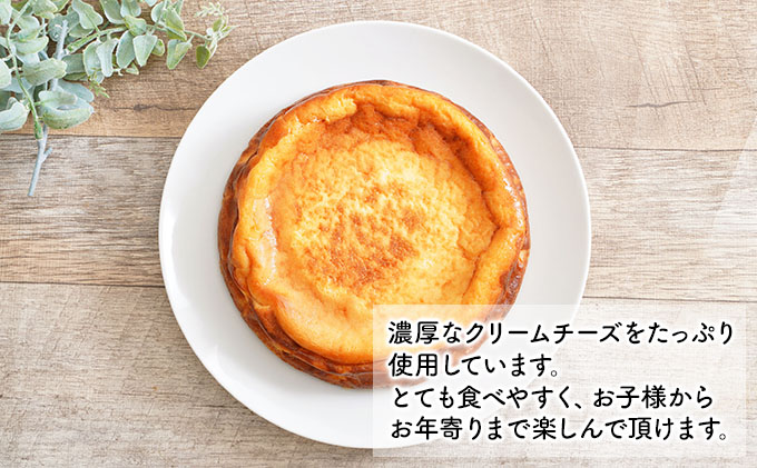 北海道木古内町のふるさと納税 こだわりの塩パン ベイクドチーズケーキ セット 北海道 チーズケーキ 塩パン