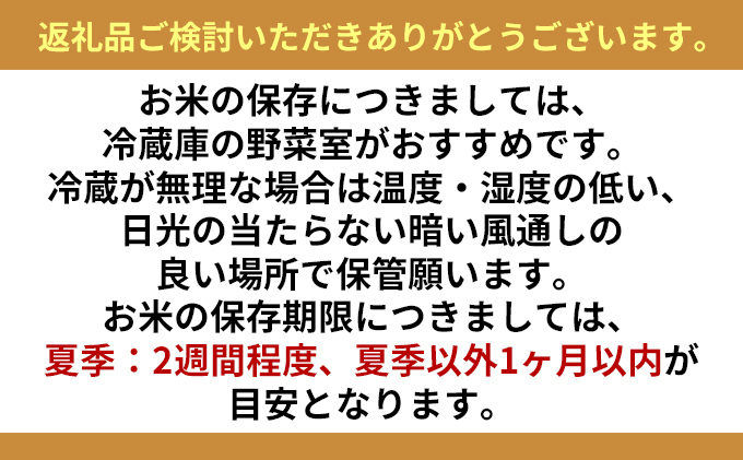 北海道赤平市のふるさと納税 【先行予約2025年産米・11月上旬より順次出荷】北海道赤平産 ななつぼし 10kg (5kg×2袋) 米 北海道 お米 赤平産