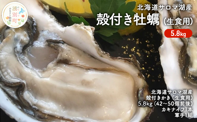 【国内消費拡大求む】先行予約 北海道サロマ湖産　殻付きかき 生食用  5.8kg