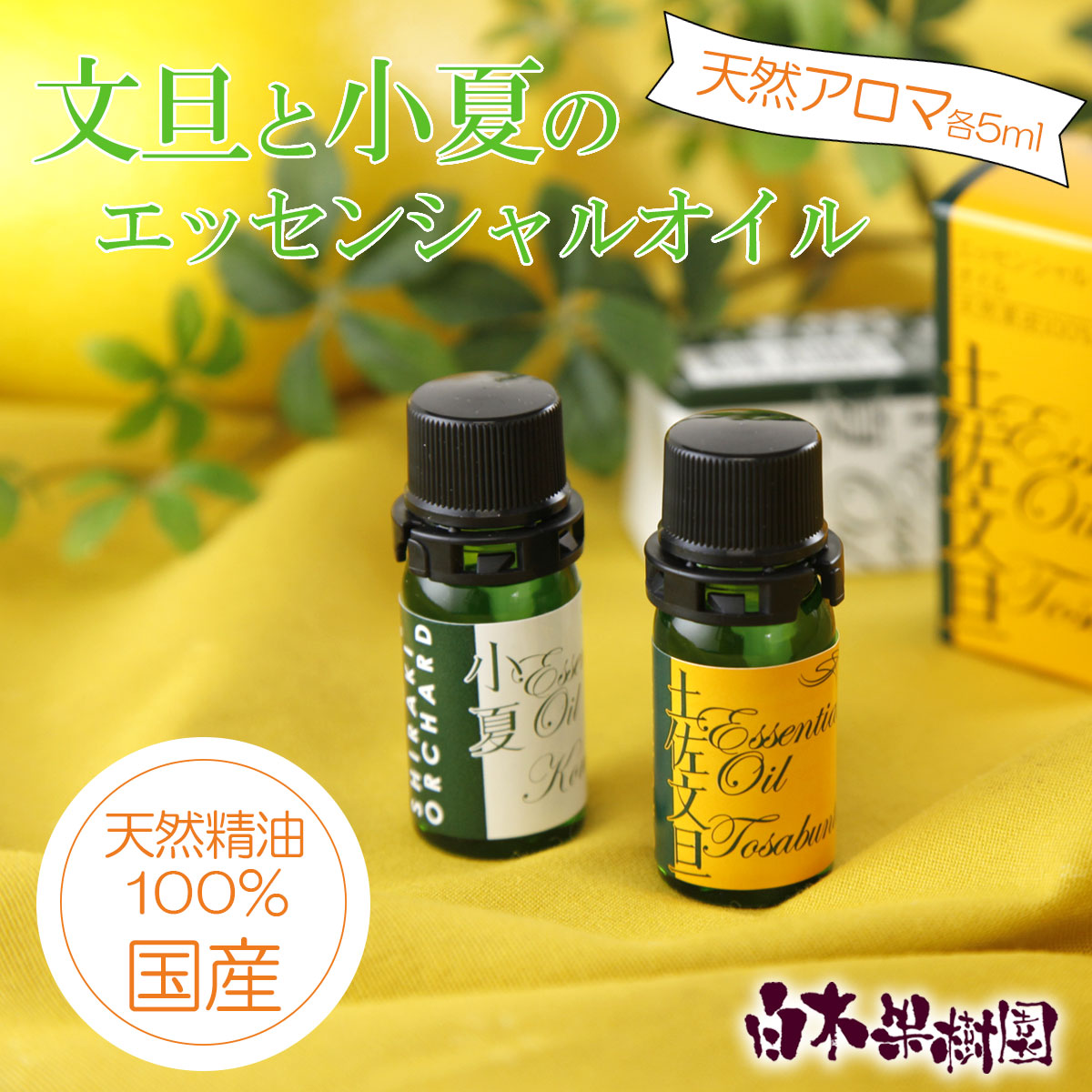 ymyszUEăGbZVICiA}ICjZbgiPOOVRAj5ml×2{