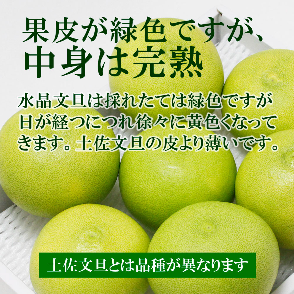 高知県産水晶文旦特選ご贈答用中玉6個入り ぶんたん ブンタン 水晶文旦