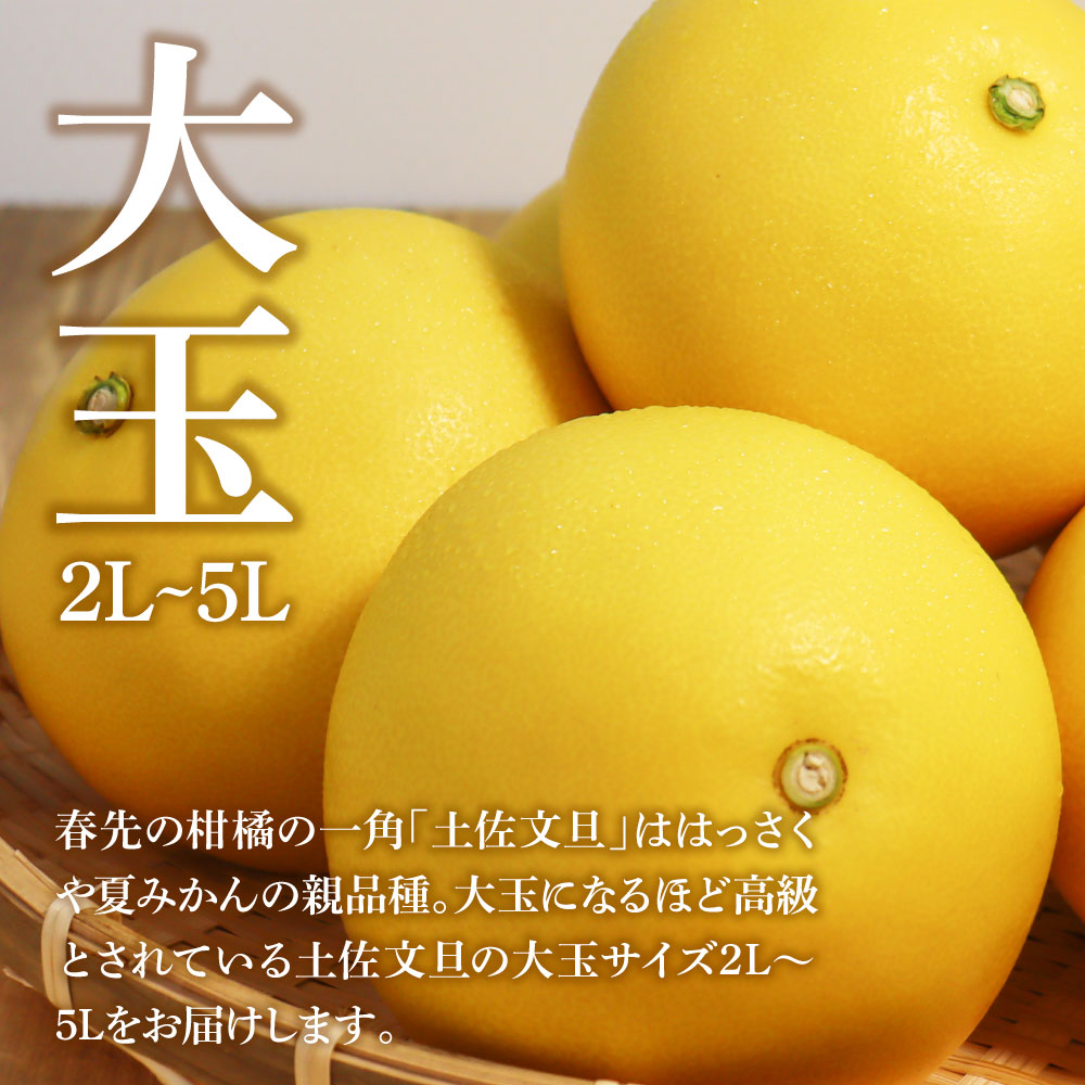 ふるさと納税 B-8-3　上敷き(4.5畳)　とさの柑橘 高知県土佐市 - 1