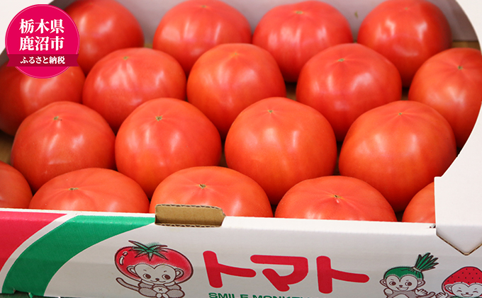 『かぬまブランド認定』鹿沼の美味しい大玉トマト(麗容)