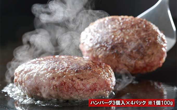 北海道産  ゆうべつ牛 ハンバーグ 焼肉　セット