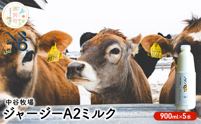 中谷牧場 ジャージー A2ミルク 900ml×5本 ジャージー牛 やさしい 国産 オホーツク 北海道