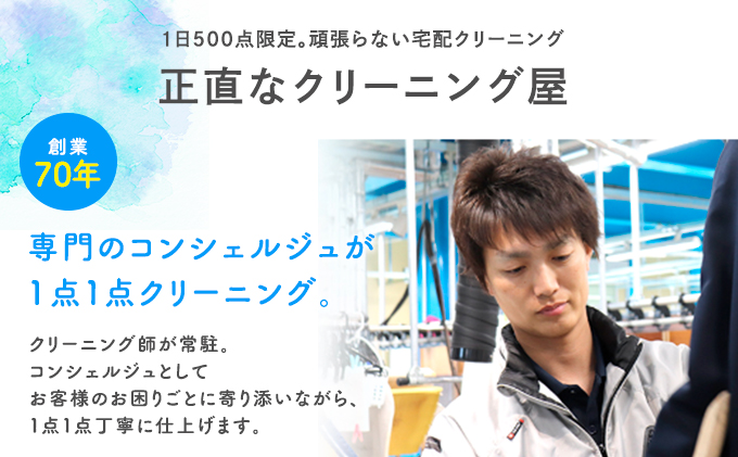 静岡県浜松市のふるさと納税 【半年間有効】羽毛布団の宅配クリーニング 2点（保管付き：最大10ヶ月）【配送不可：北海道・沖縄・離島】