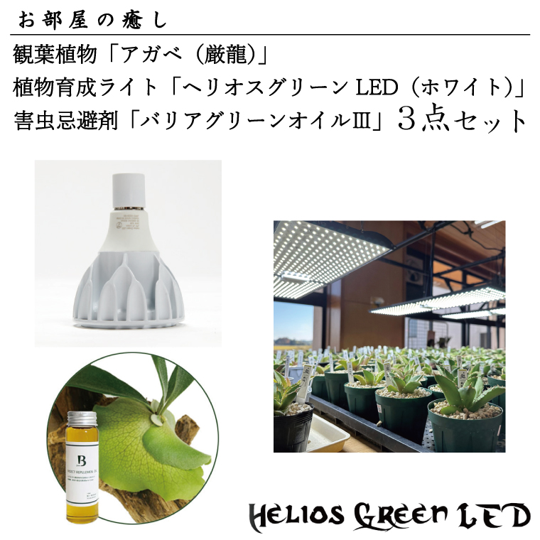 Helios green led （3点セット） 【公式通販】