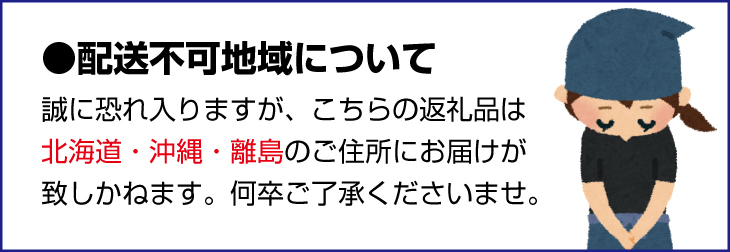 三重県紀宝町のふるさと納税 季節のおすすめ干物セットA  三重県紀宝町産 ※季節によって内容が異なります / ひもの 干物 みりん干し 開き 丸干し 詰め合わせ イカ さんま カマス しらす いわし アジ 冷蔵