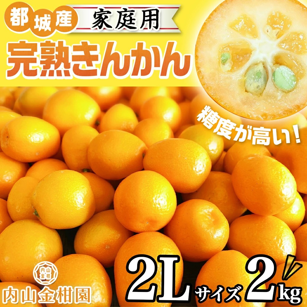 宮崎県都城市のふるさと納税 【2月～3月お届け】都城産完熟きんかん 家庭用2kg (2Lサイズ)_13-B501