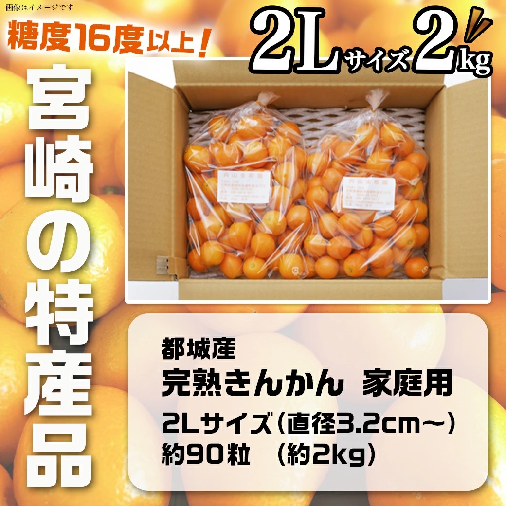 宮崎県都城市のふるさと納税 【2月～3月お届け】都城産完熟きんかん 家庭用2kg (2Lサイズ)_13-B501