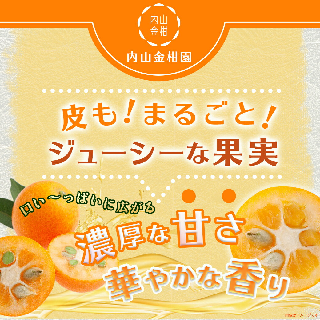 宮崎県都城市のふるさと納税 【2月～3月お届け】都城産完熟きんかん 家庭用2kg (2Lサイズ)_13-B501