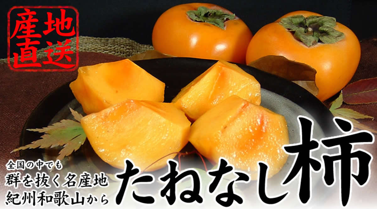 和歌山の種無し柿　4キロ