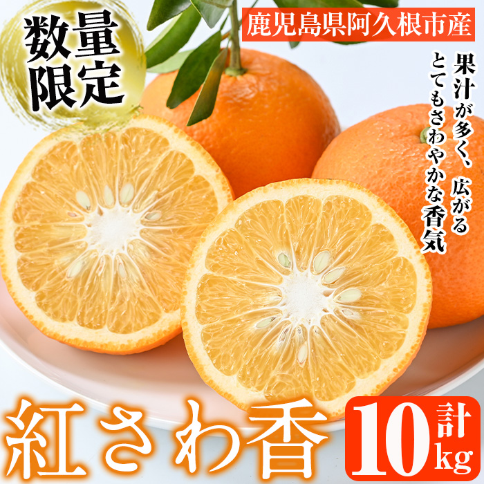 鹿児島県阿久根市のふるさと納税 ＜先行予約受付中！2026年1月上旬以降順次発送＞数量限定！紅さわ香(10kg)国産 果物 柑橘 紅甘夏【桐野柑橘株式会社】akn070-03