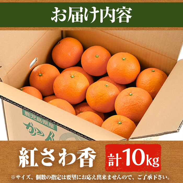 鹿児島県阿久根市のふるさと納税 ＜先行予約受付中！2026年1月上旬以降順次発送＞数量限定！紅さわ香(10kg)国産 果物 柑橘 紅甘夏【桐野柑橘株式会社】akn070-03
