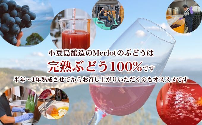 小豆島醸造【赤ワイン】メルロー 2022年 1本 | 【直営】香川県土庄町