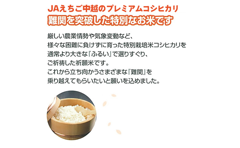 令和6年産 難関突破米 5kg|えちご中越農業協同組合