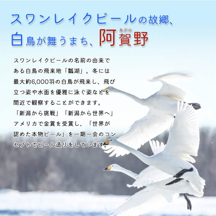 新潟県阿賀野市のふるさと納税 スワンレイクビール 定番 10本セット 1S04019