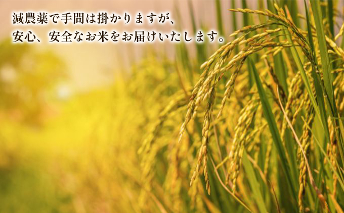 新潟県田上町のふるさと納税 【玄米】新潟なんかんコシヒカリ5kg