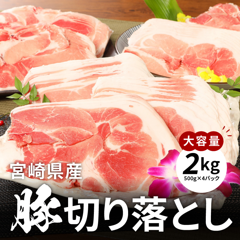 宮崎県木城町のふるさと納税 ★スピード発送!!７日～10日営業日以内に発送★牛肉＆豚肉切り落としセット【合計3kg】 K16_0057_2