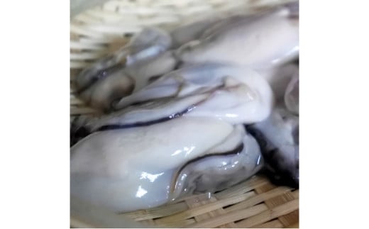 冷凍むき身牡蠣(加熱調理用)2kg【C1-002】|吉浦コーポレーション