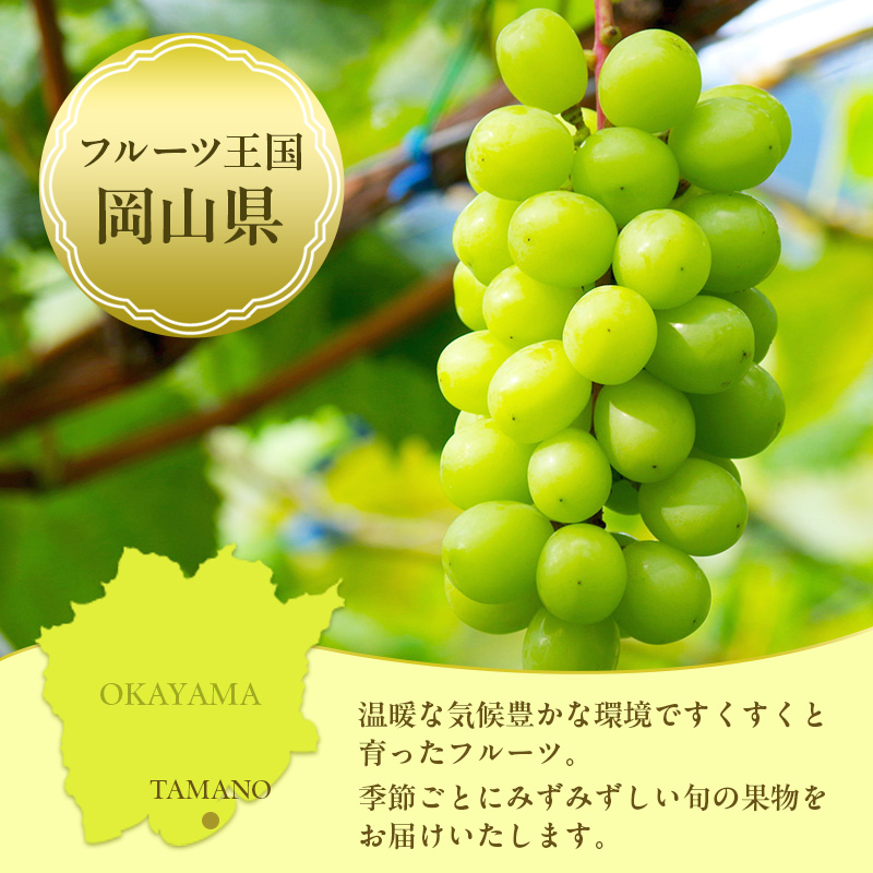 岡山県玉野市のふるさと納税 桃 ぶどう 梨 定期便 2025年 先行予約 晴れの国 岡山 の フルーツ 定期便 6回コース もも 葡萄 なし 岡山県産 国産 セット ギフト アレキサンドリ ニューピオーネ シャインマスカット 晴王 紫苑