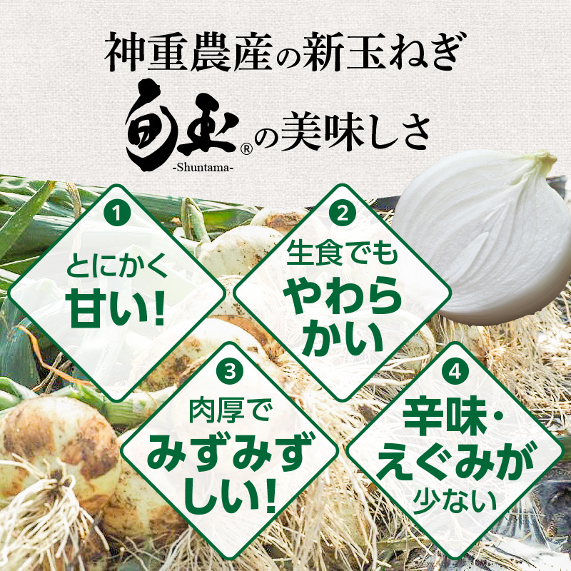 愛知県碧南市のふるさと納税 新玉ねぎ 生がおいしい 神重農産のブランド玉ねぎ「旬玉」5kg ブランド玉ねぎ 玉ねぎ 国産 愛知県産 野菜 やさい 農家直送 畑直送 旬 期間限定 たまねぎ 先行予約 旬 特産 高評価 高リピート 人気 H105-148