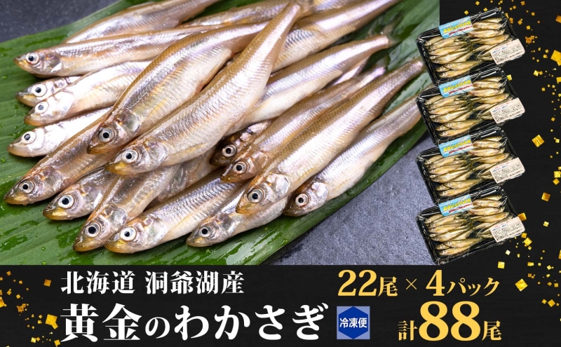 北海道洞爺湖町のふるさと納税 洞爺湖産黄金のわかさぎ 22尾×4P