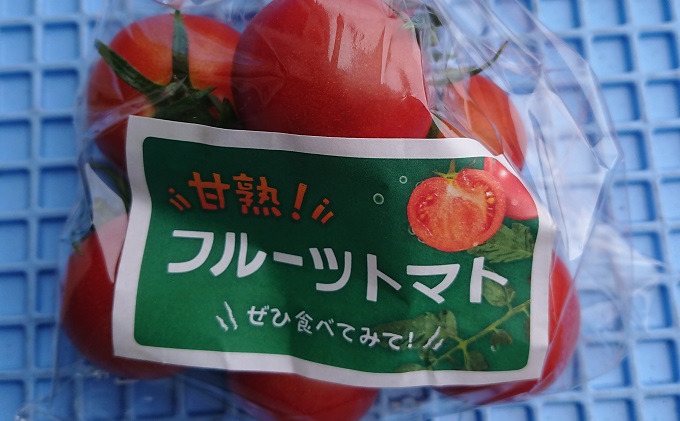 とまと フルーツ トマト 1袋約250g入り 6袋 野菜 岡山 高梁市産 2023年 先行予約