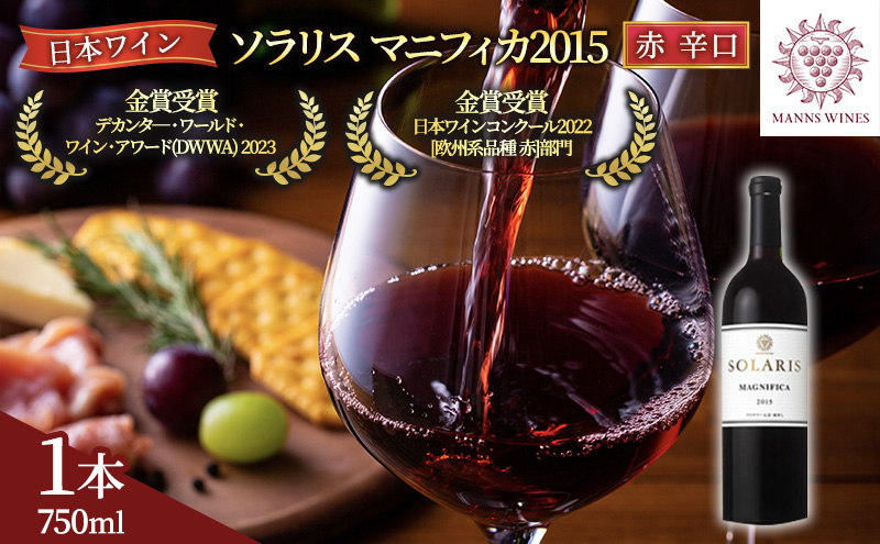 ワイン ソラリス マニフィカ 2015 日本ワインコンクール2022 欧州系品種 赤部門 金賞 赤ワイン 長野