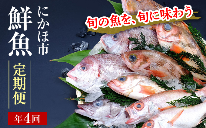 詰め合わせ　開けたらすぐ食べられる日本海の鮮魚定期便（2～3人前・年4回）(魚介　下処理済み　クチコミで探すならふるさと納税　詰合せ　セット)　ニッポン！