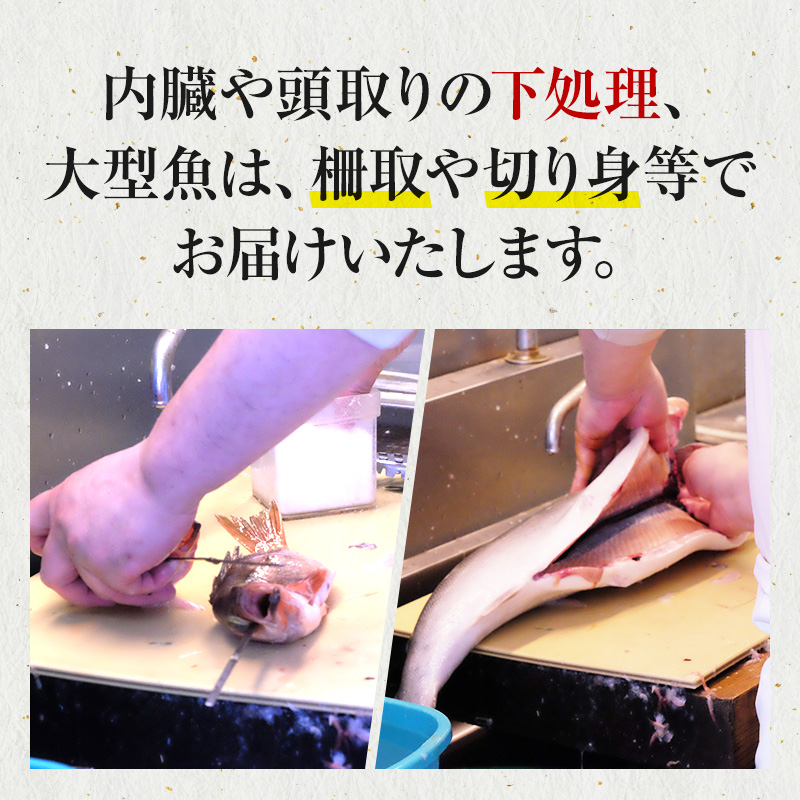 秋田県にかほ市のふるさと納税 開けたらすぐ食べられる日本海の鮮魚詰合せ（4～5人前）(魚介 下処理済み 詰め合わせ セット)