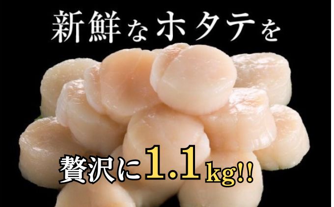 北海道厚岸町のふるさと納税 【緊急支援品】【中国禁輸施策応援品】【 3ヵ月 定期便 】北海道 訳あり 冷凍 帆立 貝柱 1.1kg (各回1.1kg×3ヶ月分,合計約3.3kg)  お刺身 新鮮 魚貝類