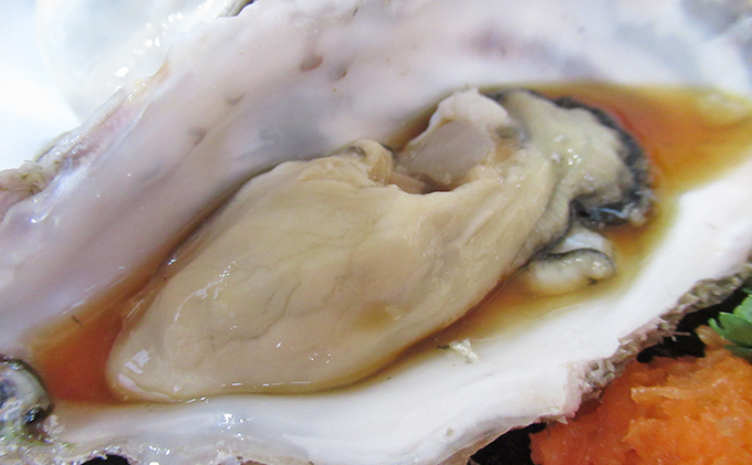 北海道厚岸町のふるさと納税 牡蠣 厚岸のブランド牡蠣 マルえもん Lサイズ 20個 生食用 魚貝類 海鮮 海のミルク 国産 生食用殻付き牡蠣 まろやか クリーミー 食べやすい品種 海の香り 牡蠣の酒蒸し 焼き牡蠣 マルえもん
