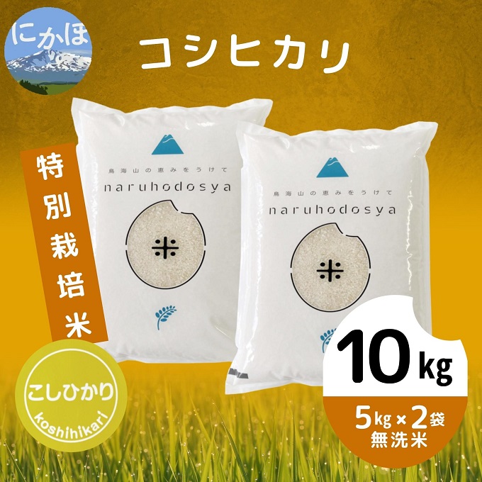 令和4年産 特別栽培米《無洗米》コシヒカリ 10kg（5kg×2袋）