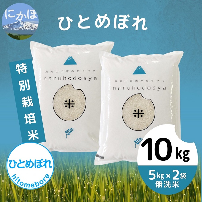 令和4年産 特別栽培米《無洗米》ひとめぼれ 10kg（5kg×2袋）