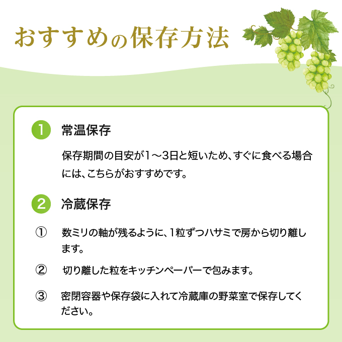 ぶどう 2024年 先行予約 ご家庭用 シャイン マスカット 晴王 優品 2房入り（1房 530g以上 露地栽培） ブドウ 葡萄 岡山県産 国産  フルーツ 果物|株式会社　M・P・C