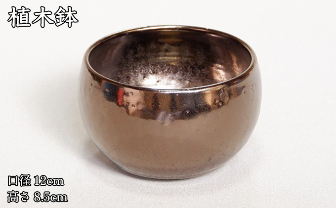 【植木鉢】antiquegold pot アンティークゴールドポット M
