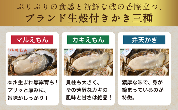 北海道厚岸町のふるさと納税  北海道厚岸産 殻かき三種 食べ比べ お試し セット　牡蠣