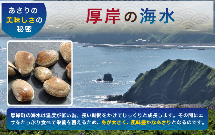 北海道厚岸町のふるさと納税 あさり 北海道 厚岸産 北海あさり 2kg (500g×4パック) 砂出し済み