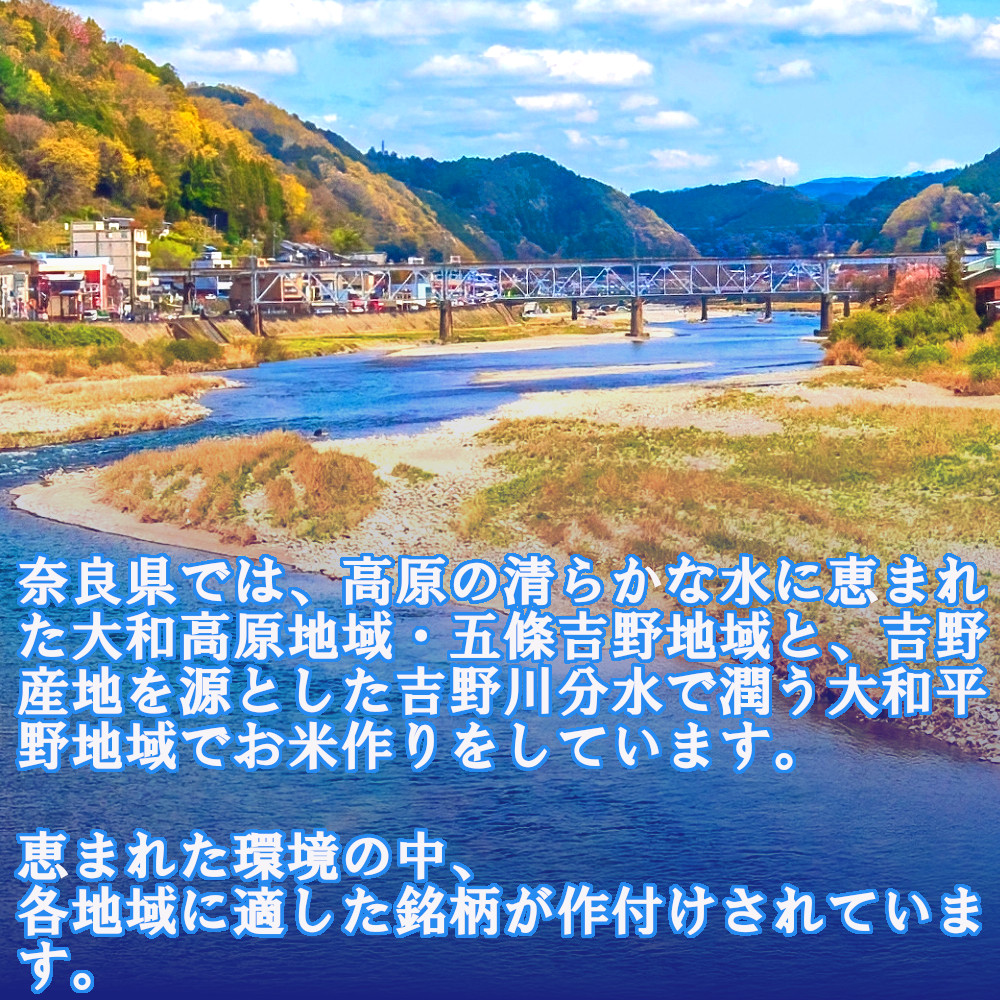 奈良県葛城市のふるさと納税 無洗米 奈良のお米 セット 10kg （5kg×2） ／ 全農パールライス 奈良県産 コシヒカリ ヒノヒカリ 米 お米 白米 国産 奈良県 葛城市