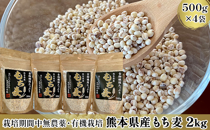 熊本県産　ふるさと納税サイト「ふるさとプレミアム」　もち麦　2kg（500g×4袋）（熊本県錦町）