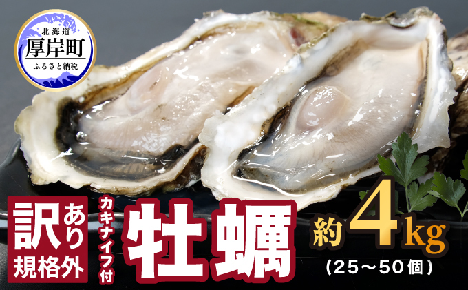 訳あり 牡蠣 北海道厚岸産 殻付カキ 約4