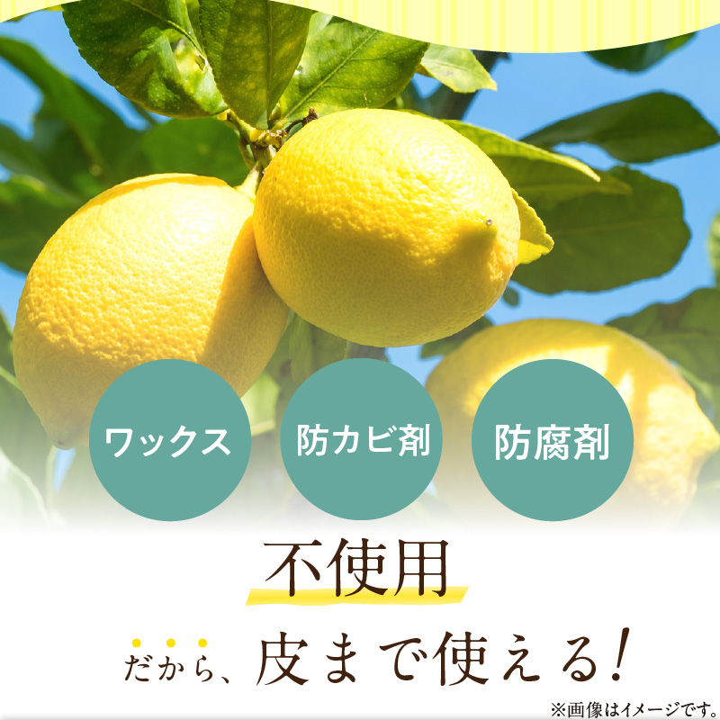 EA6022n_【訳あり・ご家庭用】完熟 レモン 3kg 皮まで使用可能 EA6022n_【訳あり・ご家庭用】完熟 レモン 3kg 皮まで使用可能