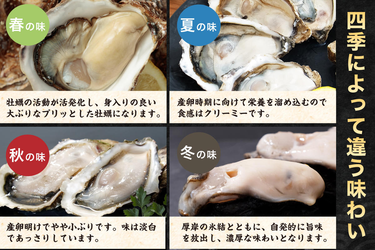 北海道厚岸町のふるさと納税 訳あり 牡蠣 北海道厚岸産 殻付カキ 約4kg (25から50個) カキナイフ付 生食