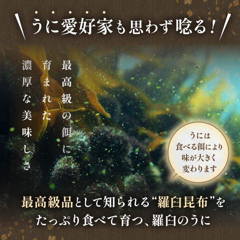 先行予約 天然 エゾバフンうに （特上） 食べ比べ2枚（折うに120g1枚・塩水うに100g1枚）北海道 知床 羅臼産  UNI-0109|有限会社舟木商店