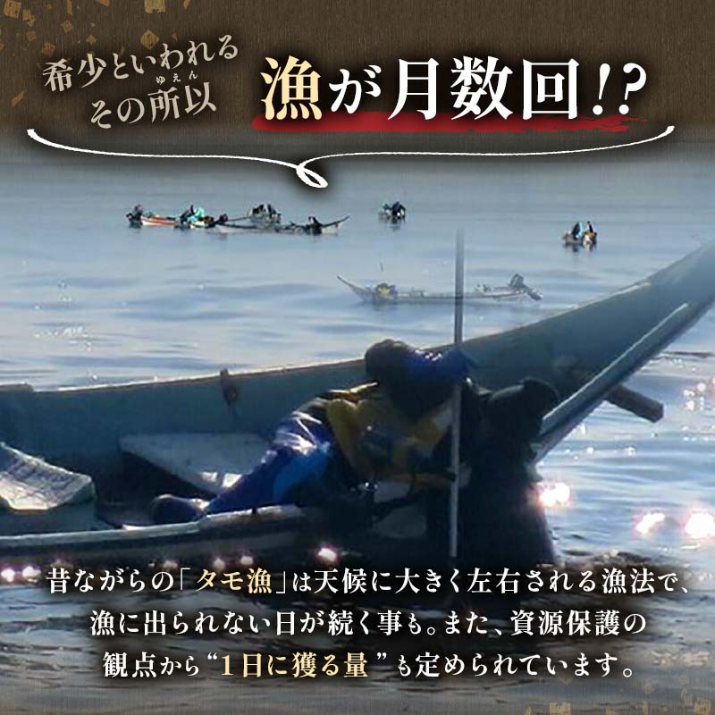 先行予約 天然 エゾバフンうに （特上） 食べ比べ2枚（折うに120g1枚・塩水うに100g1枚）北海道 知床 羅臼産  UNI-0109|有限会社舟木商店