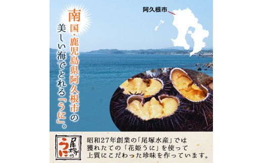 鹿児島県阿久根市のふるさと納税 あわびうに(計120g・60g×2瓶)国産 雲丹 ウニ 魚介 海産物 海鮮丼 瓶詰 アワビ 鮑【尾塚水産】a-12-229-z